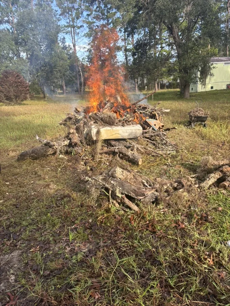 Local yard cleanup service experts serving Melrose, FL - Adams Total Lawn Care And More