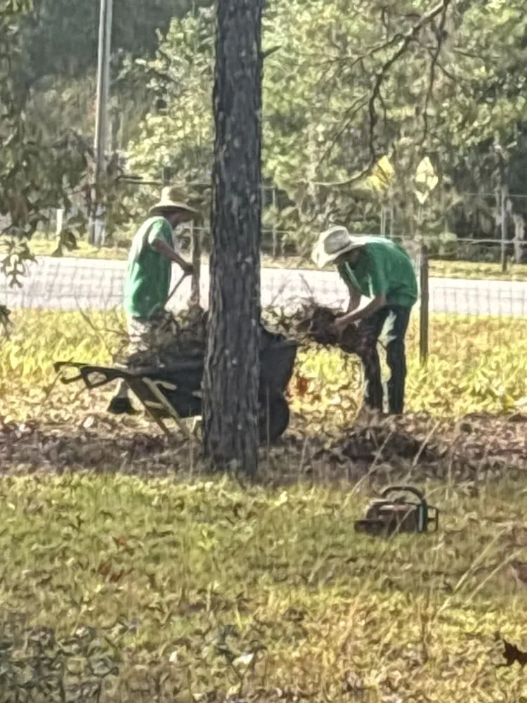 Local landscape design in Melrose, FL - Adams Total Lawn Care And More