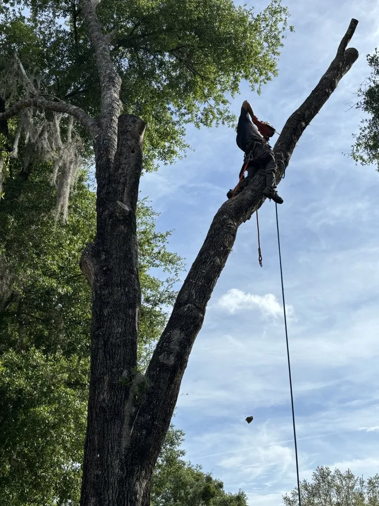 Trusted yard maintenance in Melrose, FL by Adams Total Lawn Care And More