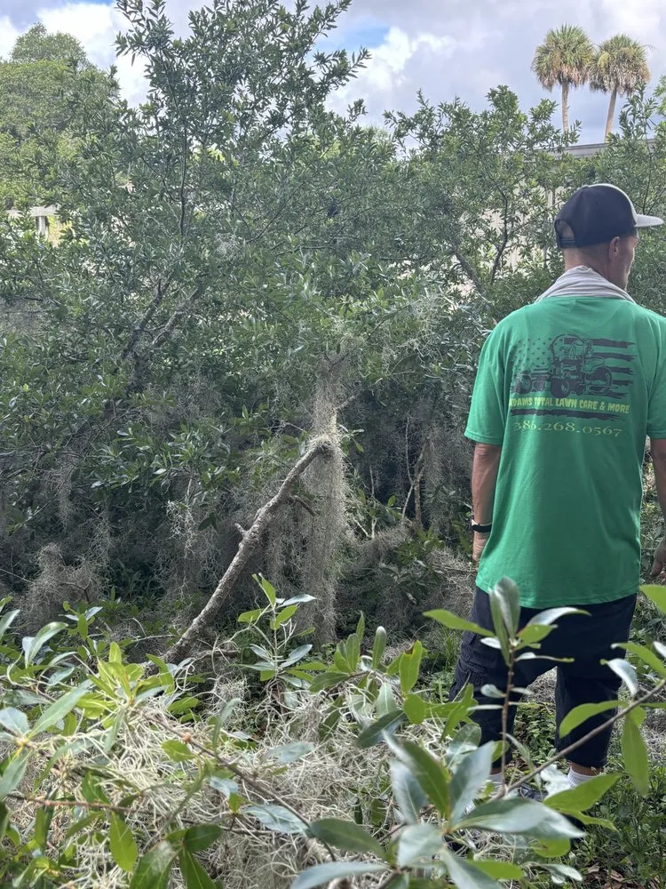 Custom landscaping services in Melrose, FL by Adams Total Lawn Care And More