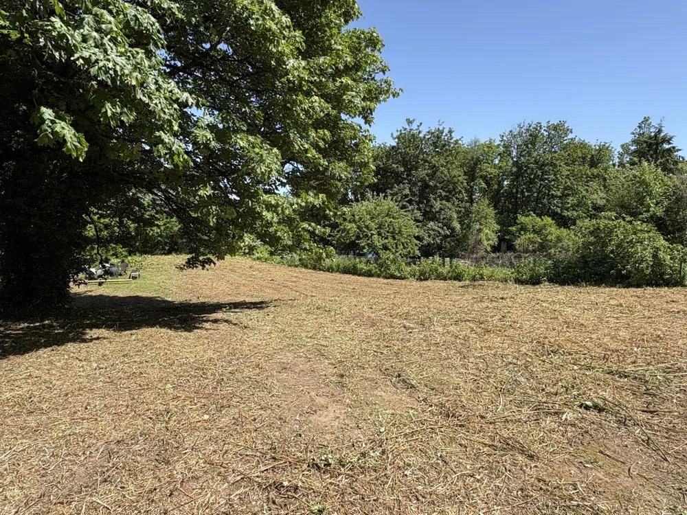 Custom yard cleanup service with custom design in Longview, WA by Adam's Tractor Work