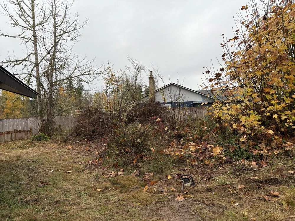 Affordable lawn mowing service in Longview, WA by Adam's Tractor Work