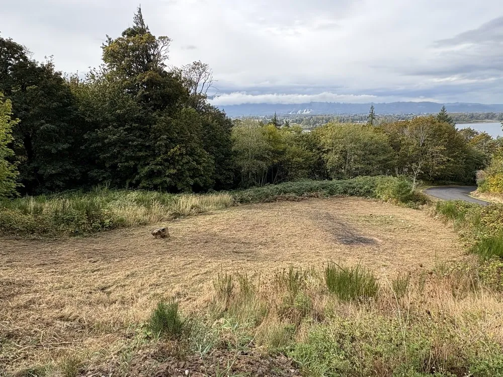 Professional lawn mowing service for beautiful yards in Longview, WA by Adam's Tractor Work