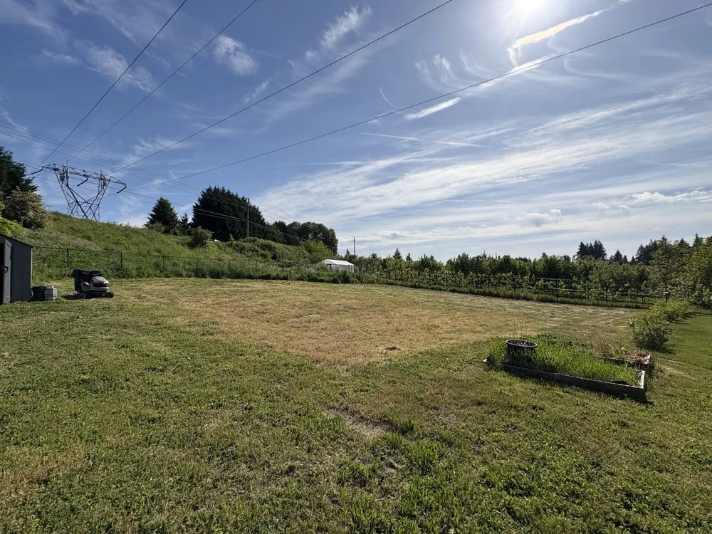 Local yard maintenance in Longview, WA by Adam's Tractor Work