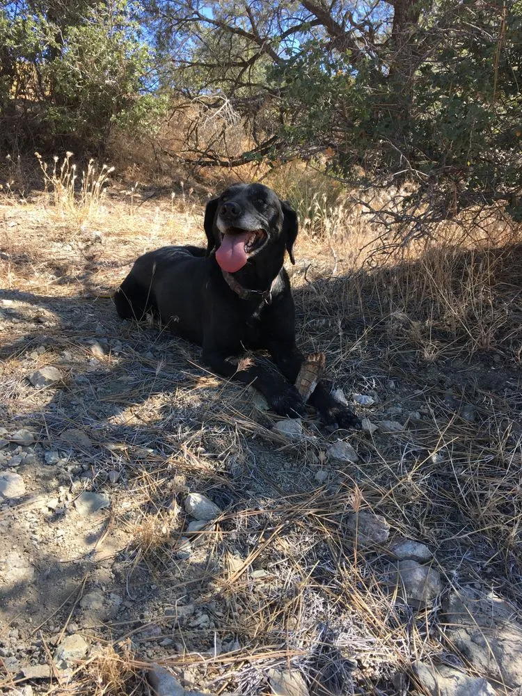 Custom landscaping services in Columbia, TN by Adam's Tractor Works