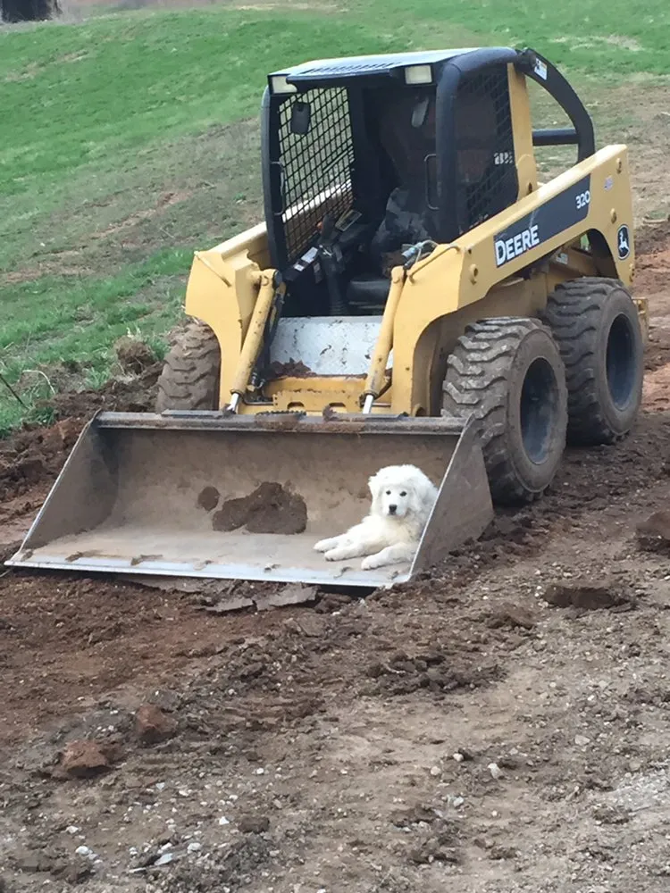 Professional lawn mowing service for homes across Columbia, TN - Adam's Tractor Works
