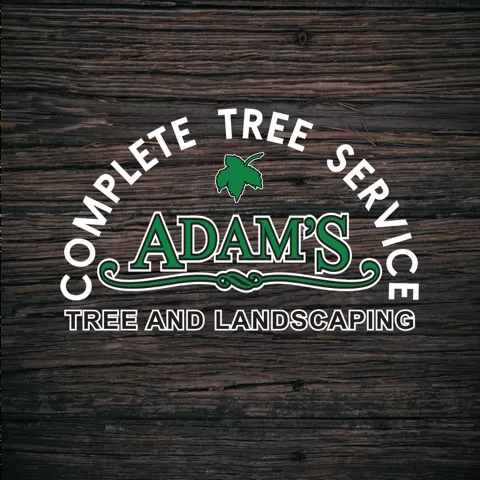Trusted garden landscaping experts serving Culpeper, VA - Adams Tree & Landscaping