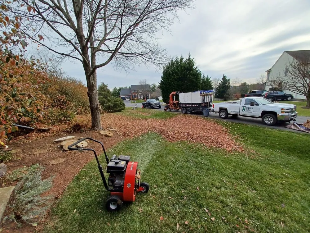 Professional lawn mowing service for homes in Middletown, MD by Adam’s Tree & Lawn Care