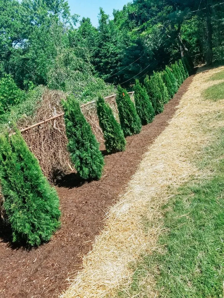 Expert garden landscaping near you in Middletown, MD by Adam’s Tree & Lawn Care