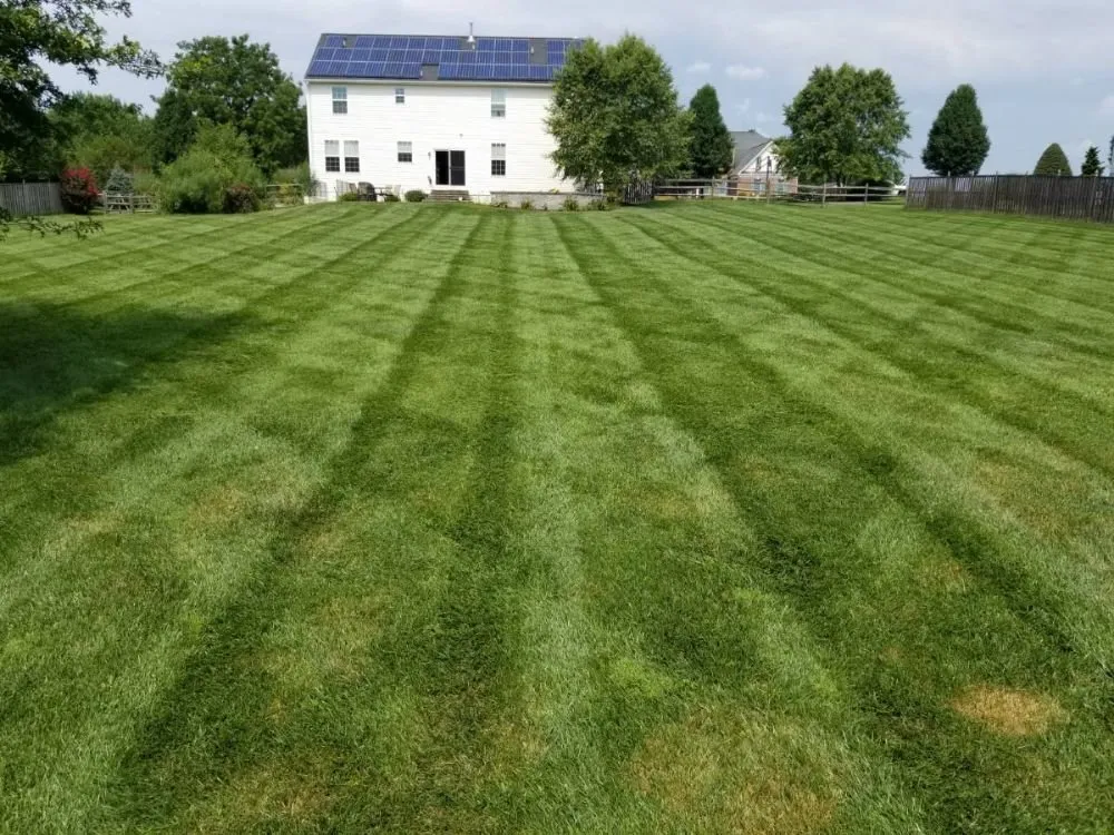 Reliable landscape installation in Middletown, MD by Adam’s Tree & Lawn Care