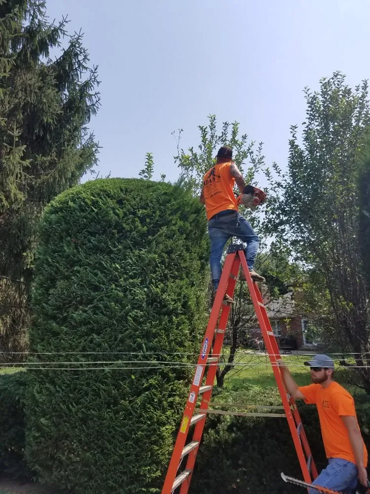 Affordable outdoor landscaping for residential properties across Middletown, MD - Adam’s Tree & Lawn Care