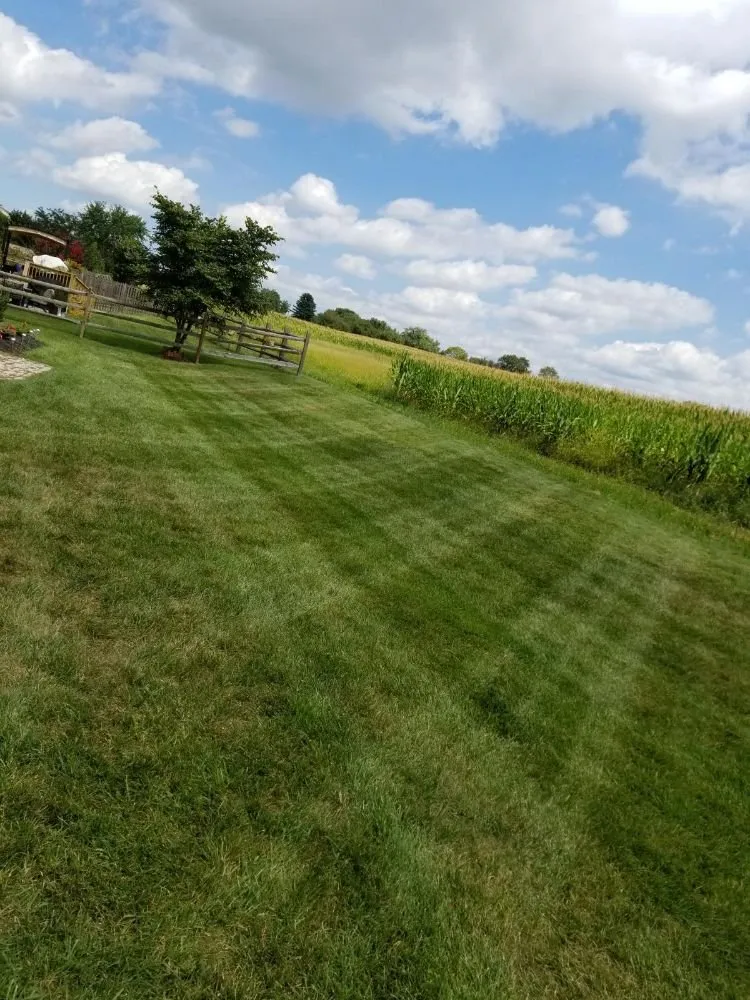 Expert lawn care service in Middletown, MD - Adam’s Tree & Lawn Care