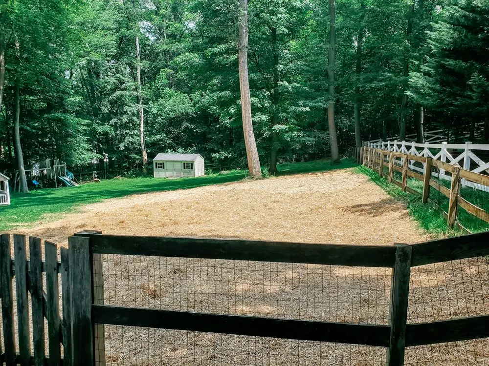 Trusted yard cleanup service in Middletown, MD - Adam’s Tree & Lawn Care