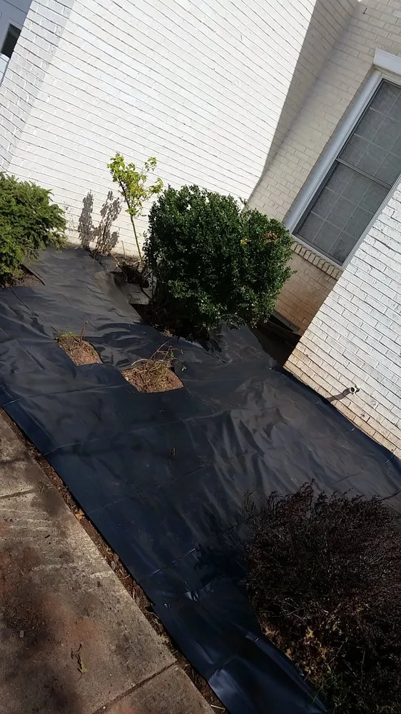 Professional landscape installation for beautiful yards across Middletown, MD - Adam’s Tree & Lawn Care