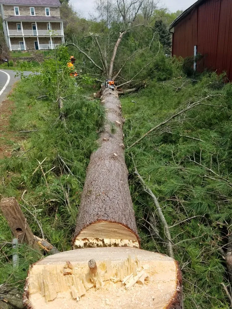 Local lawn mowing service for outdoor upgrades in Middletown, MD by Adam’s Tree & Lawn Care