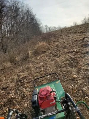 Adam’s Tree & Lawn Care