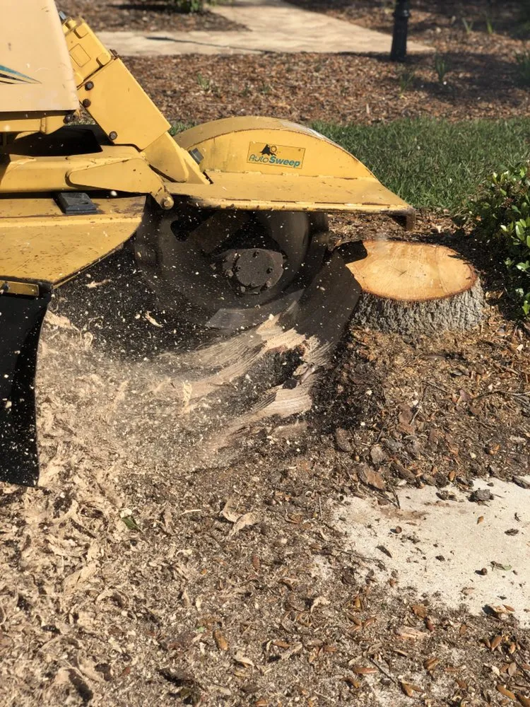 Custom residential landscaping experts serving Sarasota, FL - Adam's Tree and Stump Care