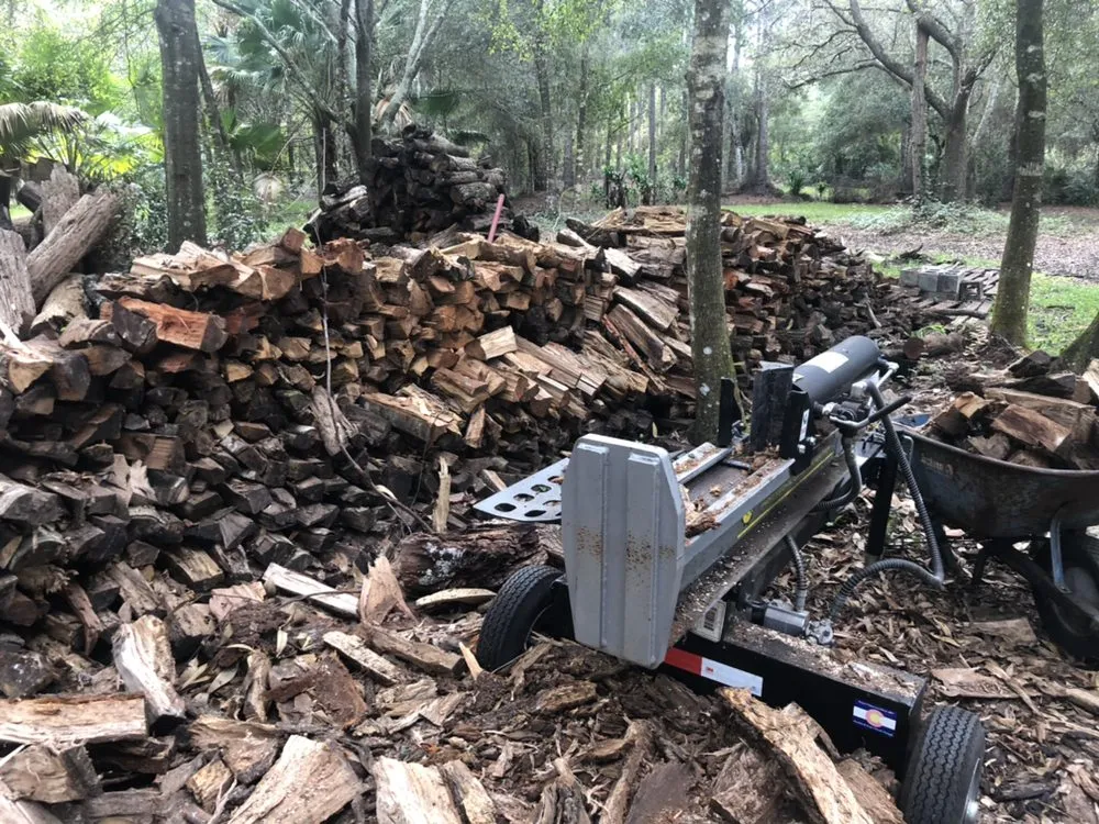 Professional yard cleanup service in Sarasota, FL - Adam's Tree and Stump Care