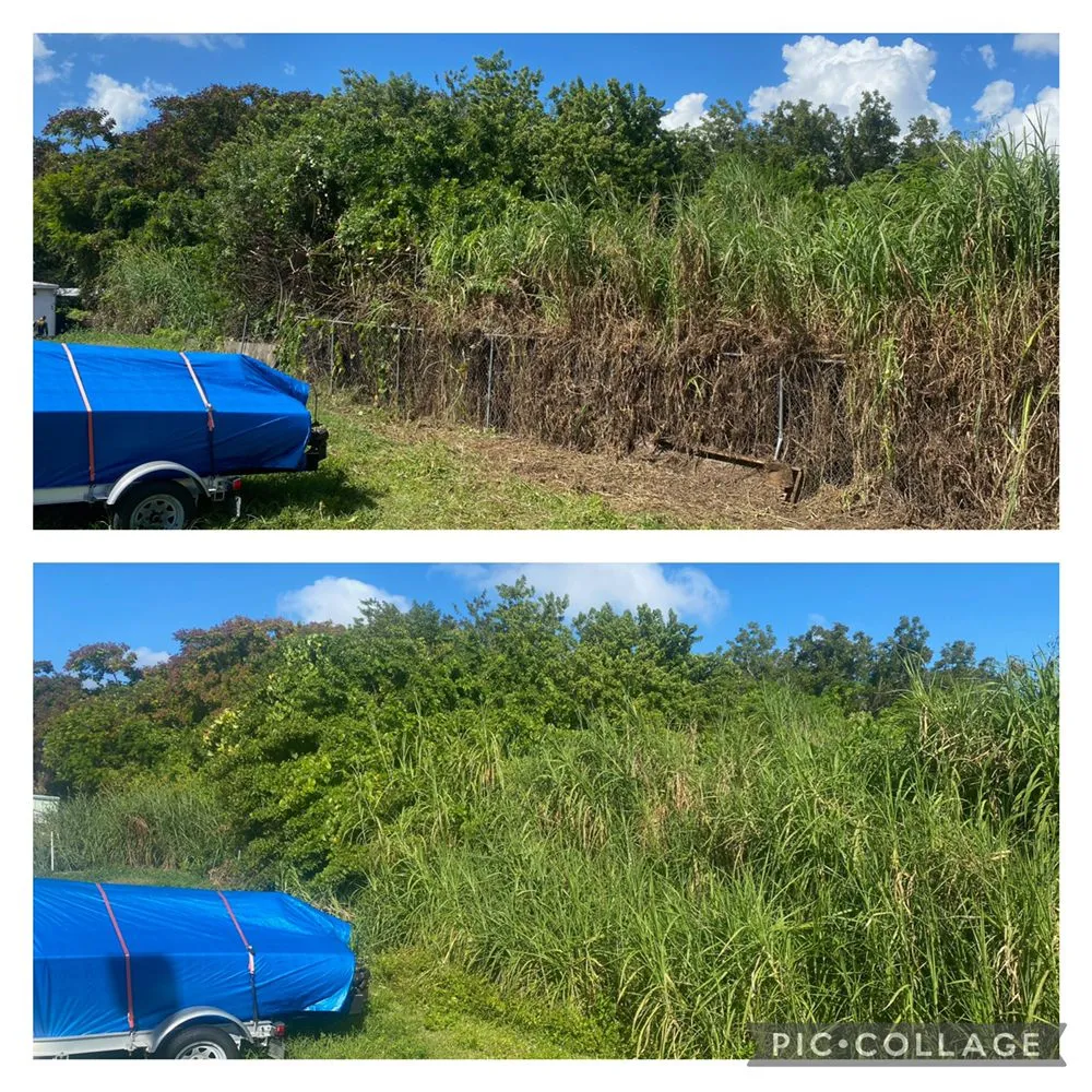 Top-rated garden landscaping for homes across Sarasota, FL - Adam's Tree and Stump Care