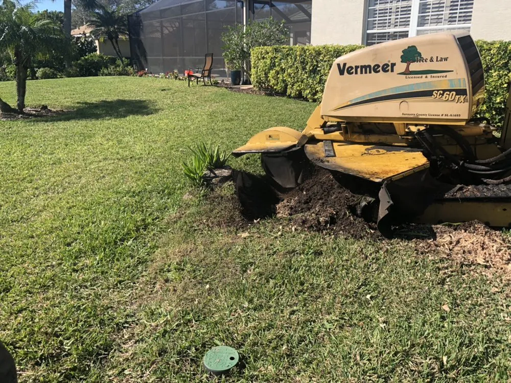 Top-rated residential landscaping for beautiful yards across Sarasota, FL - Adam's Tree and Stump Care