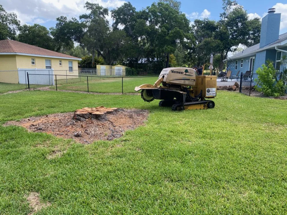 Local yard cleanup service for outdoor upgrades in Sarasota, FL by Adam's Tree and Stump Care