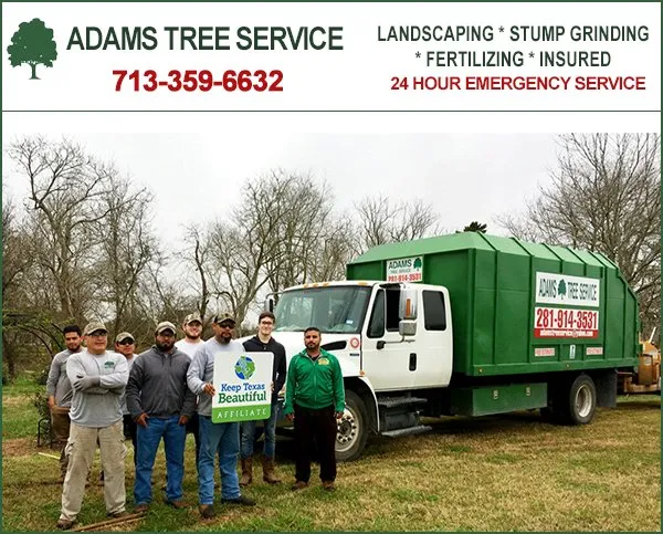 Affordable landscape design in Brookshire, TX - Adams Tree Service