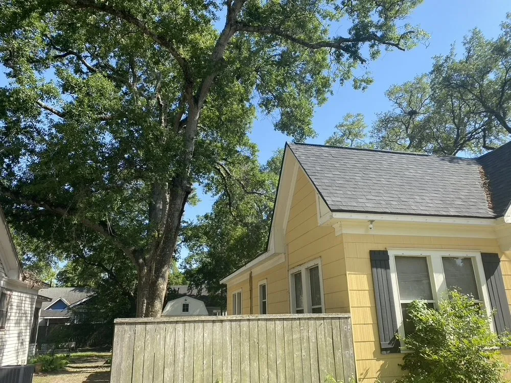 Affordable lawn care service in Brookshire, TX - Adams Tree Service