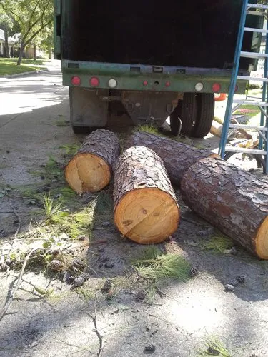 Custom landscape installation experts serving Brookshire, TX - Adams Tree Service