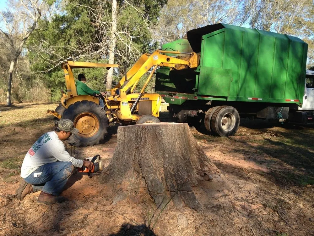 Reliable lawn mowing service near you across Brookshire, TX - Adams Tree Service