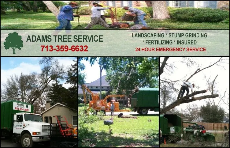 Custom garden landscaping in Brookshire, TX - Adams Tree Service
