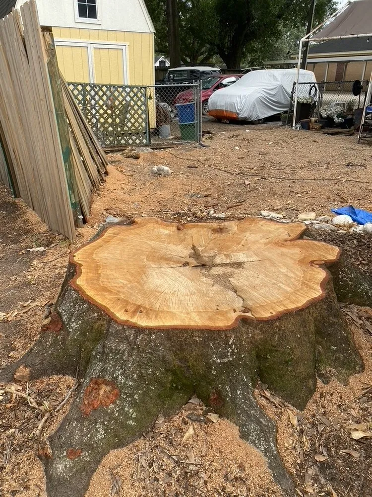 Affordable lawn mowing service experts serving Brookshire, TX - Adams Tree Service