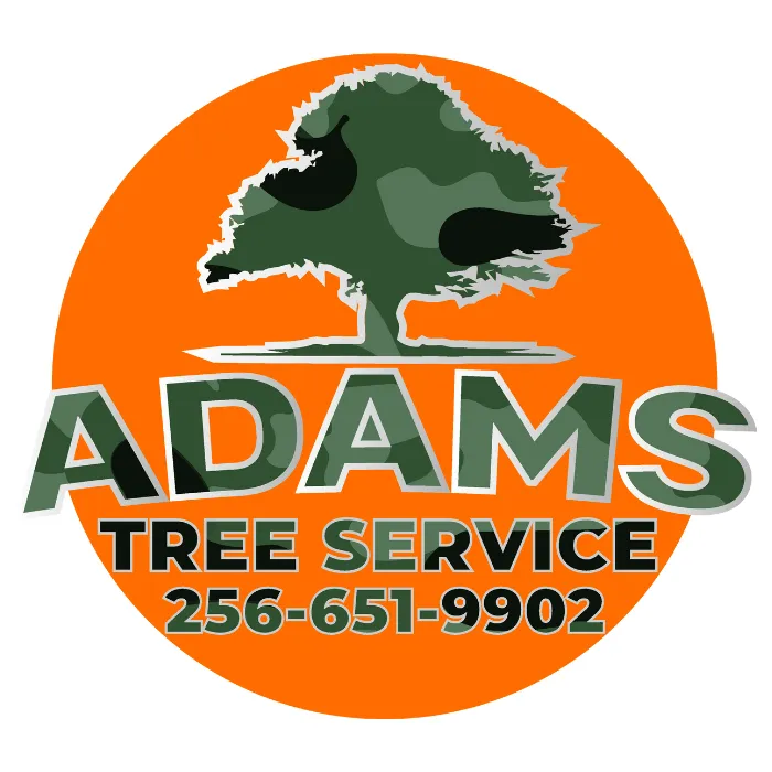 Professional yard cleanup service with custom design in Huntsville, AL by Adams Tree Service