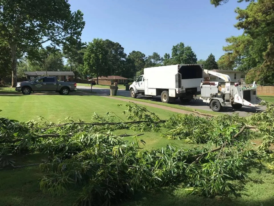 Local landscaping services experts serving Huntsville, AL - Adams Tree Service
