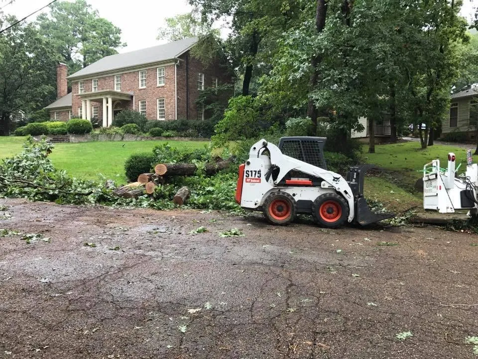 Top-rated lawn mowing service experts serving Huntsville, AL - Adams Tree Service