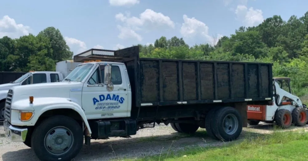 Trusted yard maintenance for outdoor upgrades across Huntsville, AL - Adams Tree Service