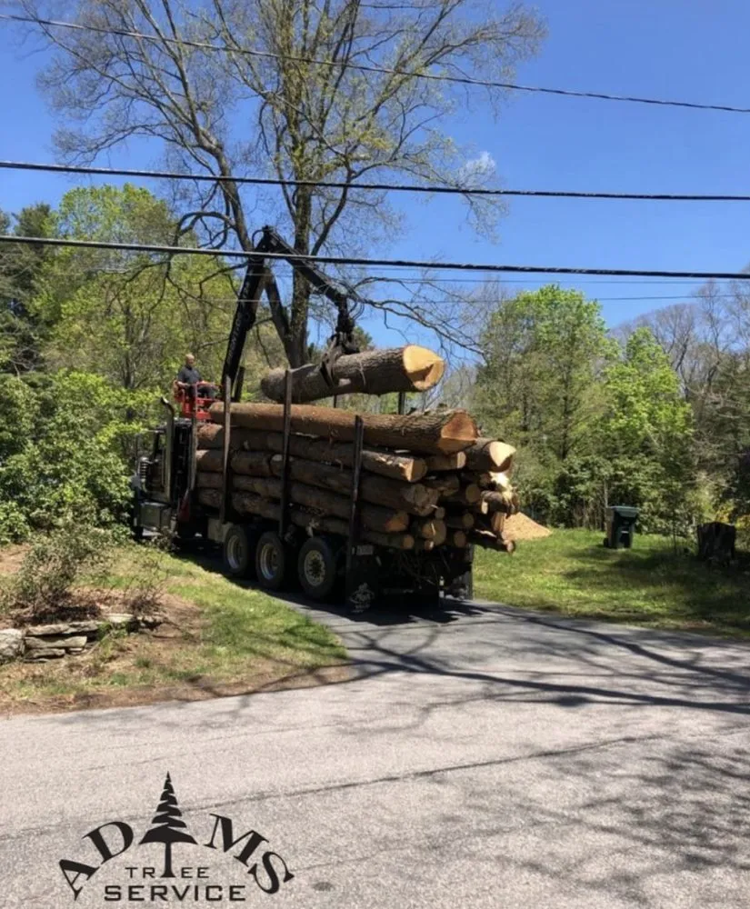 Affordable yard maintenance in Natick, MA - Adam’s Tree Service