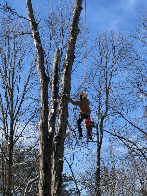 Top-rated lawn mowing service in Natick, MA - Adam’s Tree Service