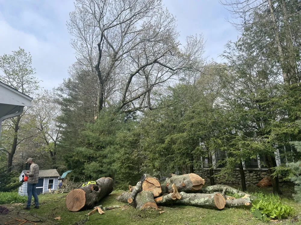 Expert lawn mowing service in Natick, MA - Adam’s Tree Service