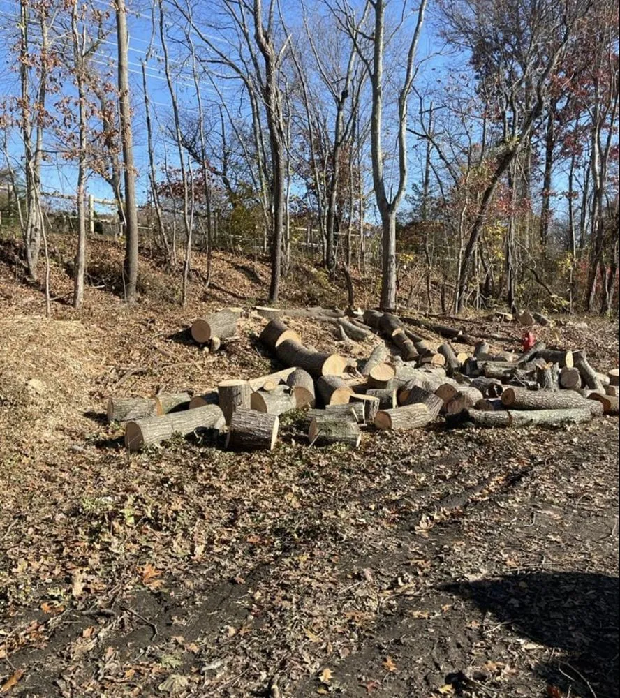 Custom outdoor landscaping in Natick, MA by Adam’s Tree Service