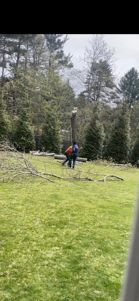 Local garden landscaping for year-round maintenance in Natick, MA by Adam’s Tree Service