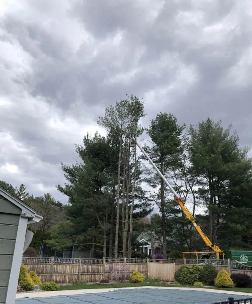 Professional lawn care service in Natick, MA - Adam’s Tree Service