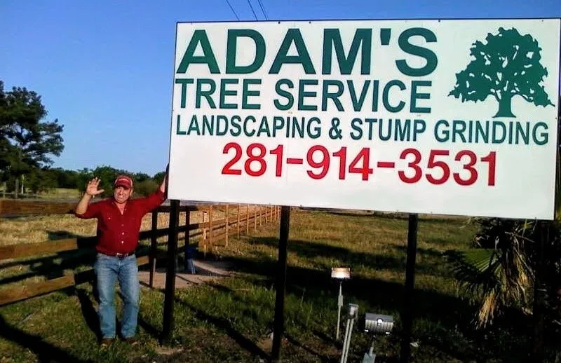 Top-rated yard cleanup service near you in Katy, TX by Adam's Trees Designs and Services