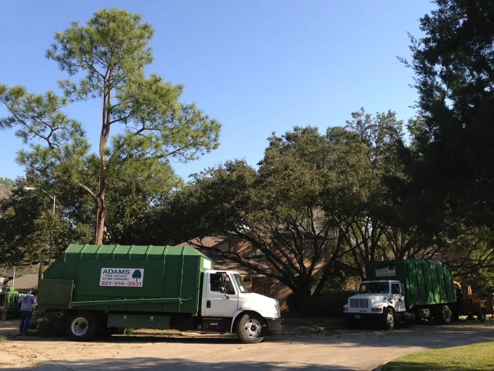 Expert outdoor landscaping in Katy, TX by Adam's Trees Designs and Services