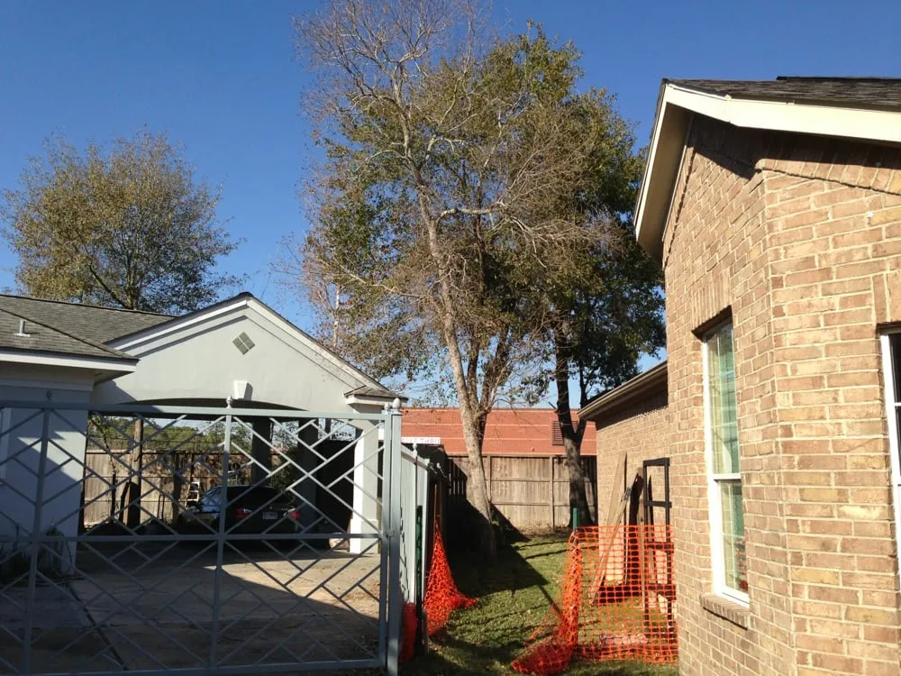 Top-rated residential landscaping experts serving Katy, TX - Adam's Trees Designs and Services