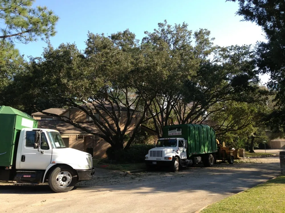 Local landscaping services for homes in Katy, TX by Adam's Trees Designs and Services