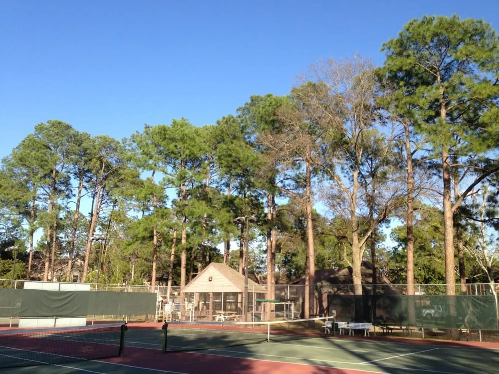 Top-rated residential landscaping in Katy, TX by Adam's Trees Designs and Services