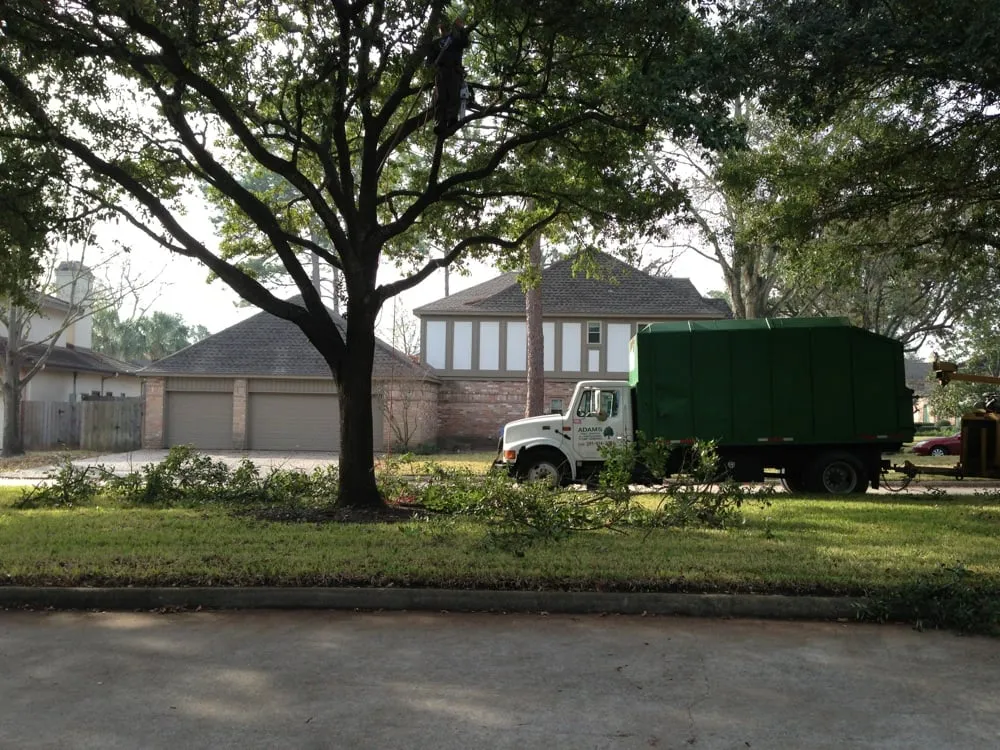 Trusted outdoor landscaping in Katy, TX - Adam's Trees Designs and Services