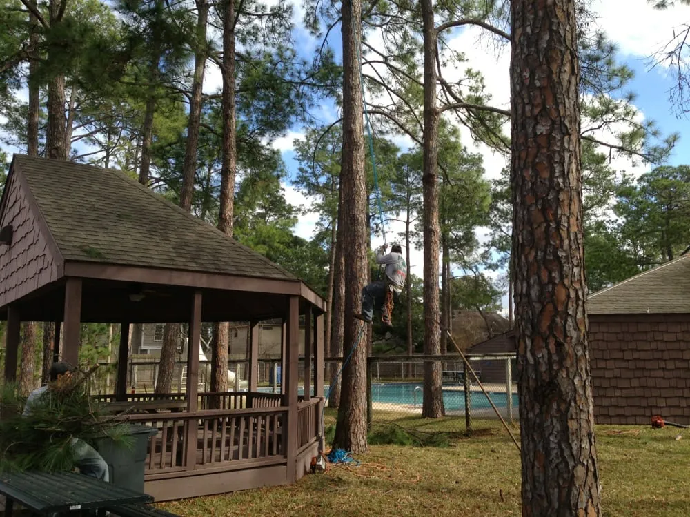 Professional landscape installation experts serving Katy, TX - Adam's Trees Designs and Services