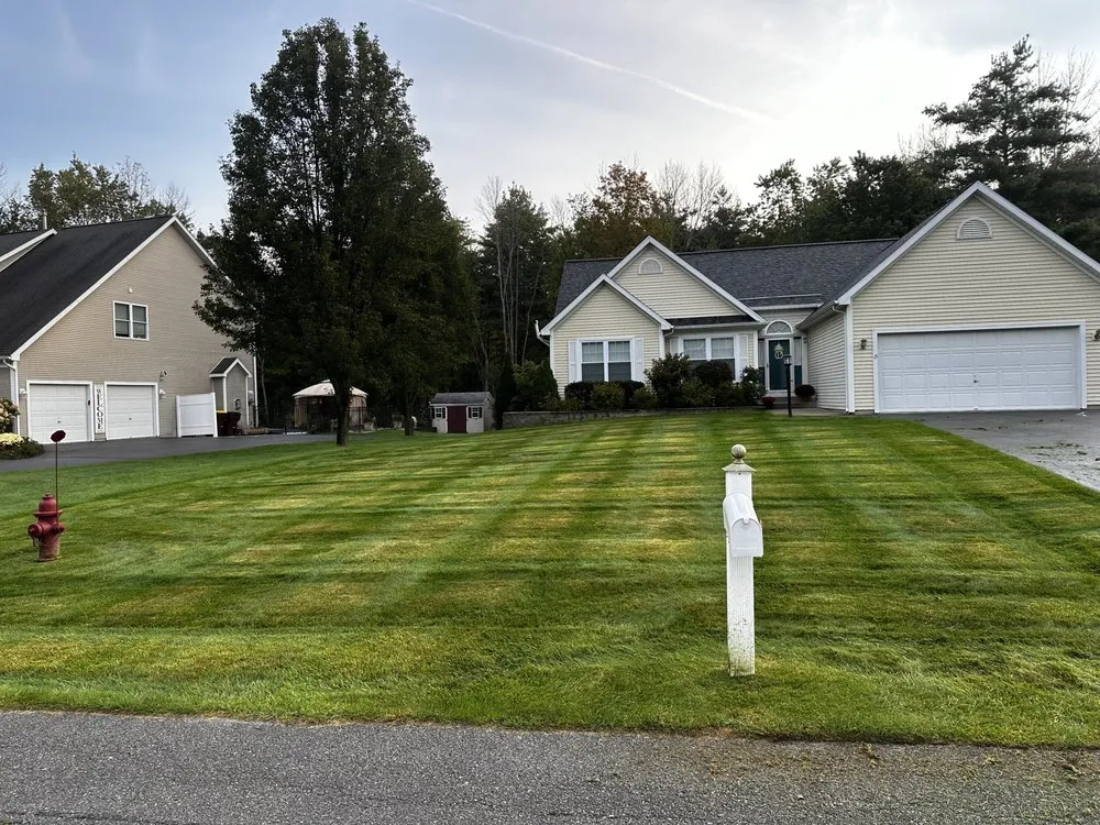 Trusted landscape installation for year-round maintenance across Troy, NY - Adams