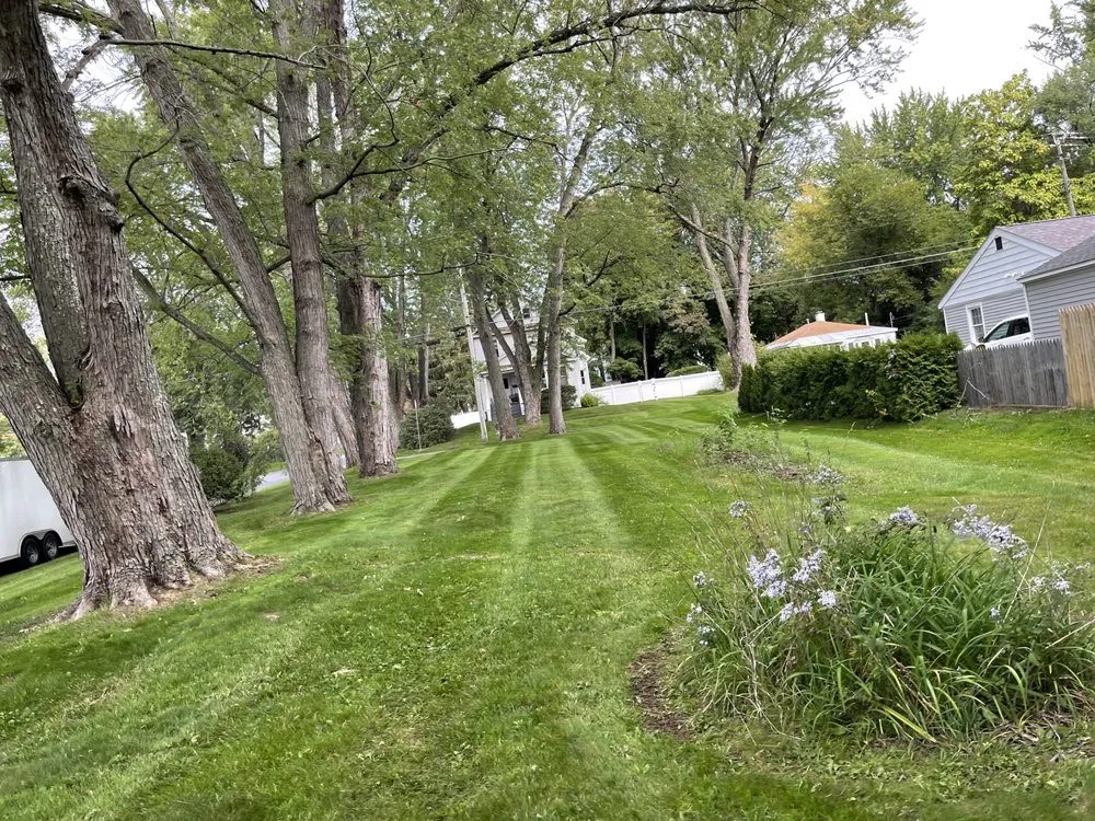Professional landscape installation in Troy, NY by Adams